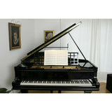 Betec Leuchten Manufactur - Piano Bladmuziek Verlichting