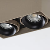 Bjorn 2 Champagne Opbouwspot – Draaibare 2-lichts GU10 Plafond- en Wandspot van Aluminium