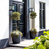 Buitenlamp Loosdrecht – Moderne Zwarte RVS Wandlamp met E27 Fitting