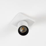 Mila 1 Wit Opbouwspot / Goud – Verstelbare Plafond- en Wandspot met GU10 LED