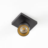 Mila 1 Zwart Opbouwspot / Goud – Verstelbare Plafond- en Wandspot met GU10 LED