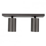 Lynn 2 Opbouwspot – Gun Metal Plafond- en Wandspot met Twee Lichtpunten, Verstelbaar