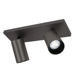 Lynn 2 Opbouwspot – Gun Metal Plafond- en Wandspot met Twee Lichtpunten, Verstelbaar