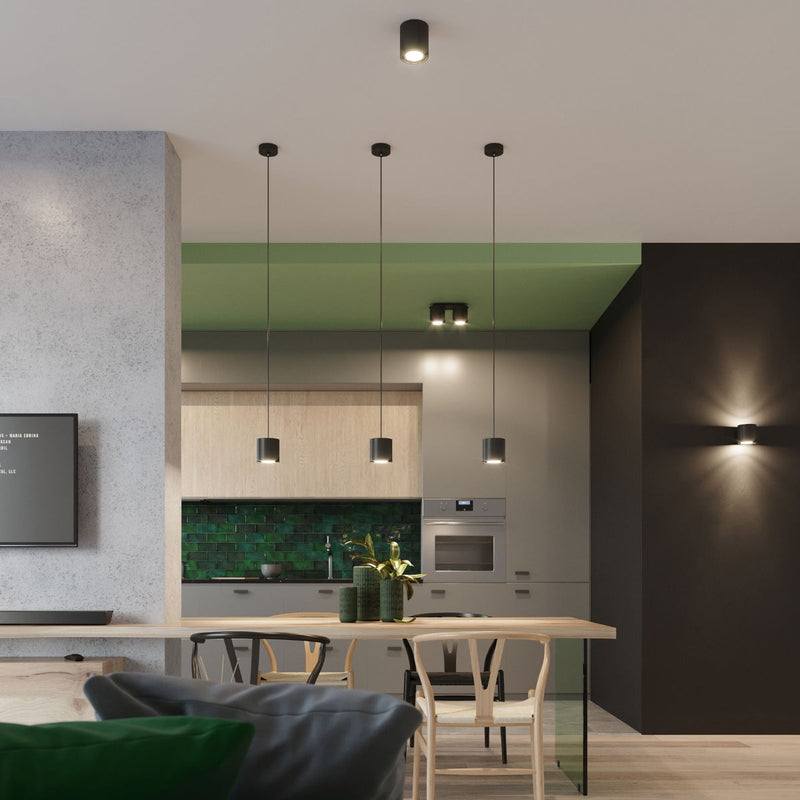 Plafondlamp ORBIS 2 zwart