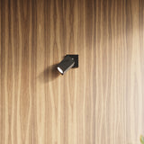 Plafondlamp MERIDA 2 zwart