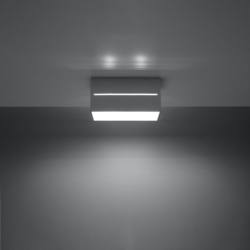Plafondlamp LOBO 2 grijs