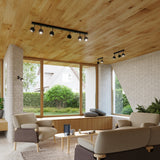 Plafondlamp OCULARE 2 zwart