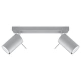 Plafondlamp RING 2 grijs