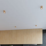Wandlamp ORBIS naturel hout