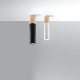 Plafondlamp PABLO zwart