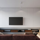 Plafondlamp TIUBE wit