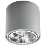 Plafondlamp TIUBE grijs
