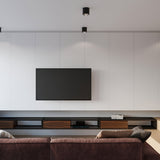 Plafondlamp TIUBE zwart