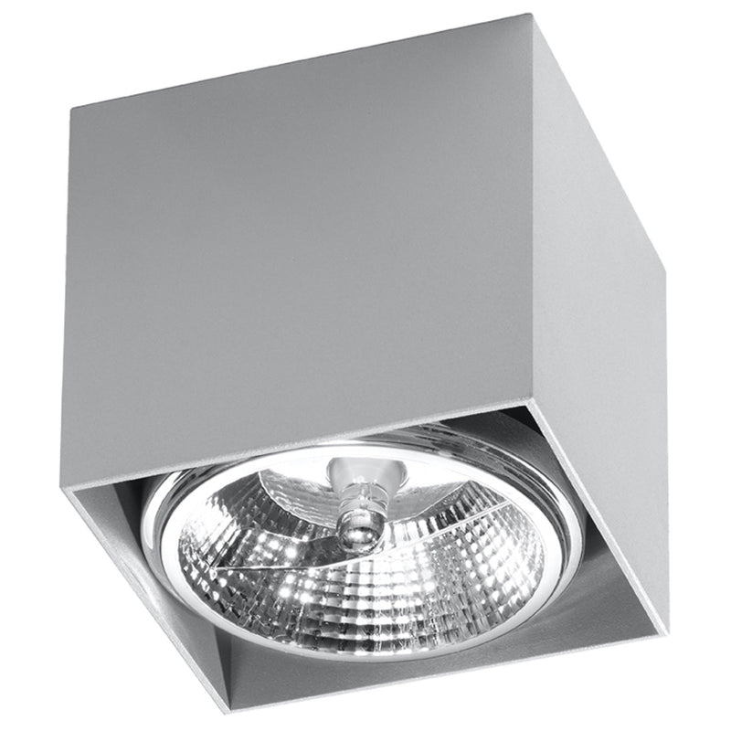 Plafondlamp BLAKE grijs