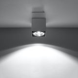 Plafondlamp BLAKE grijs