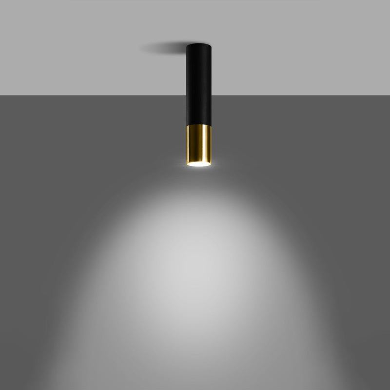 Plafondlamp LOOPEZ zwart/goud