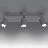 Plafondlamp LEMMI 3 wit