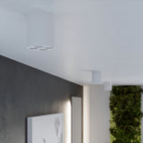 Plafondlamp ZOE wit LED