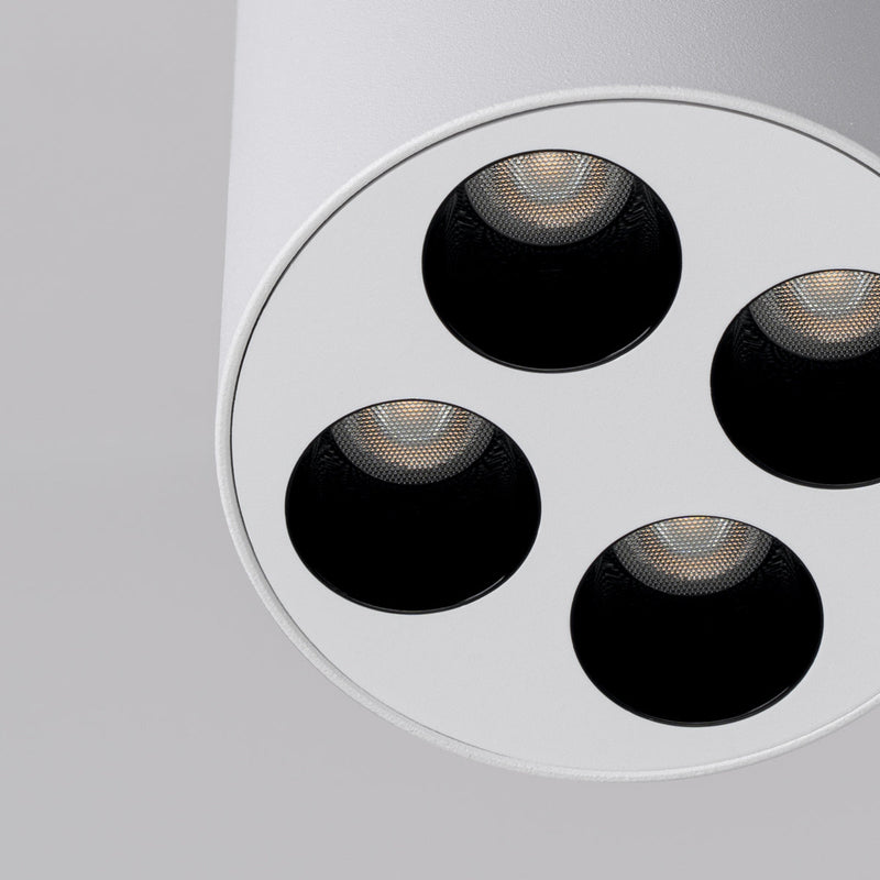 Plafondlamp ZOE wit LED