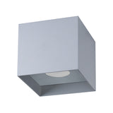Industrieële Plafondlamp HATI grijs