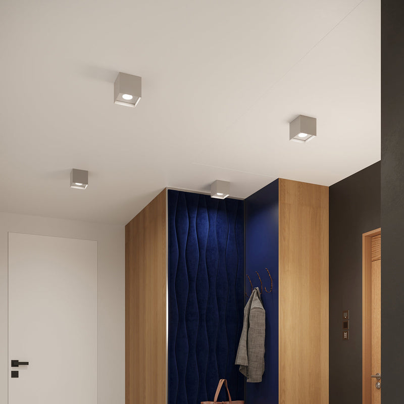 Industrieële Plafondlamp HATI grijs