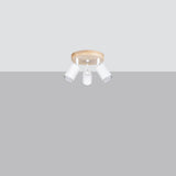 Plafondlamp VERDO 3P wit