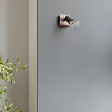 Plafondlamp ZUCA 2 zwart