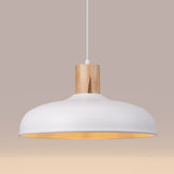 Hanglamp INDY wit