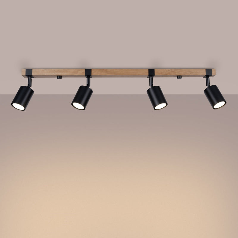 Plafondlamp FAGER 4L zwart