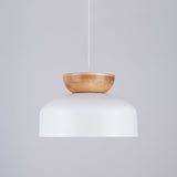 Hanglamp MARION wit