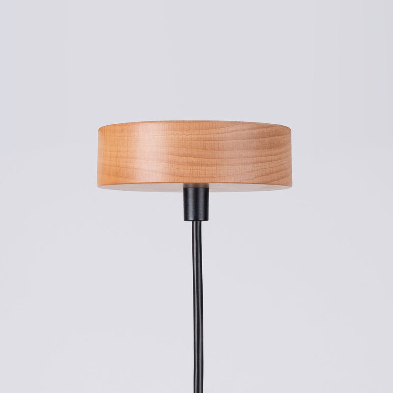 Hanglamp MARION zwart