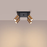 Plafondlamp WINX 4 zwart/co