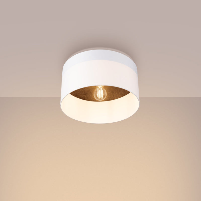 Plafondlamp TELESTO wit/donkerbruin
