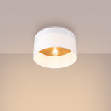 Plafondlamp TELESTO wit/lichtbruin