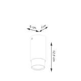 Plafondlamp NERO 12,5 zwart/chroom
