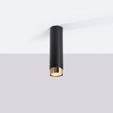 Plafondlamp NERO 22,5 zwart/goud