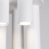 Plafondlamp LAGOS 5P wit