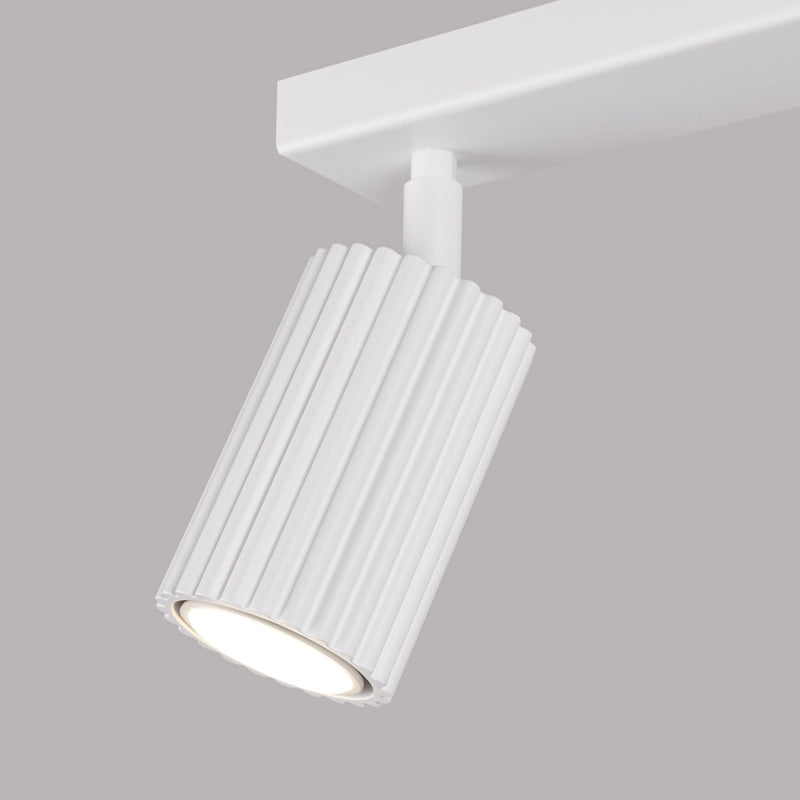 Plafondlamp KARBON 2 wit
