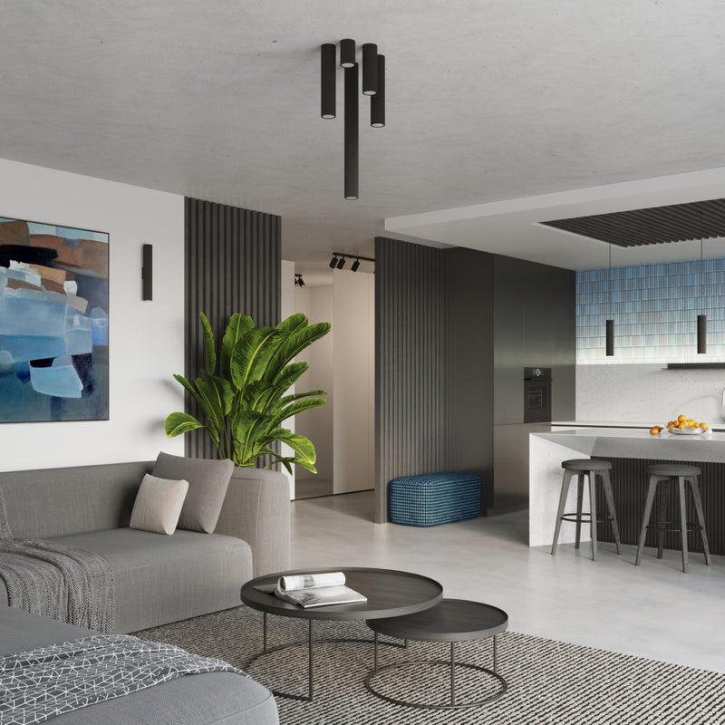 Plafondlamp KARBON 30 zwart