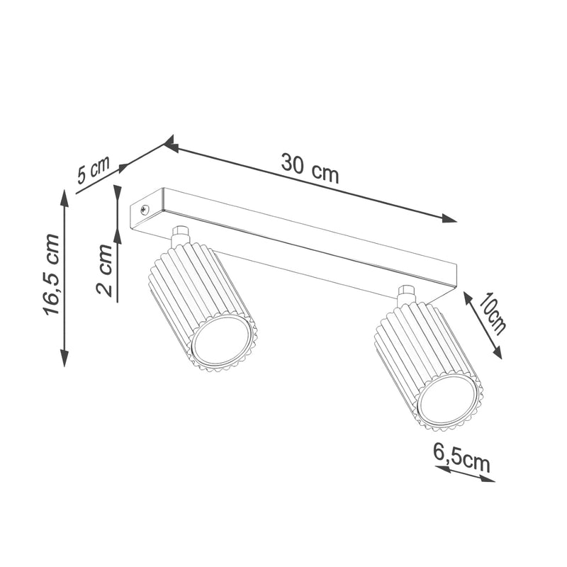 Plafondlamp KARBON 2 zwart