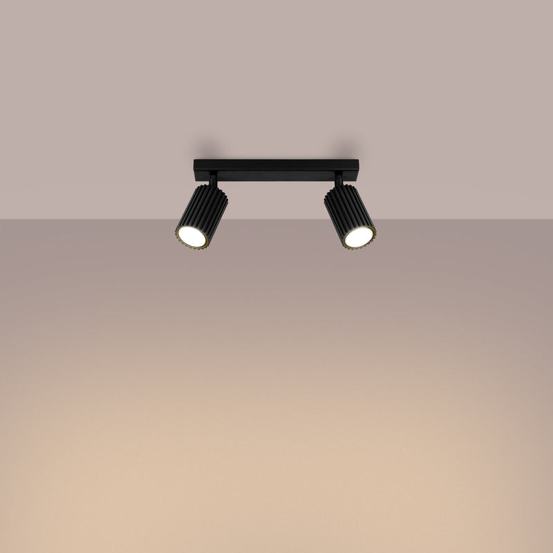 Plafondlamp KARBON 2 zwart