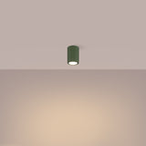 Plafondlamp KARBON 10 olijfgroen