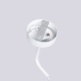 Wandlamp LIRO wit