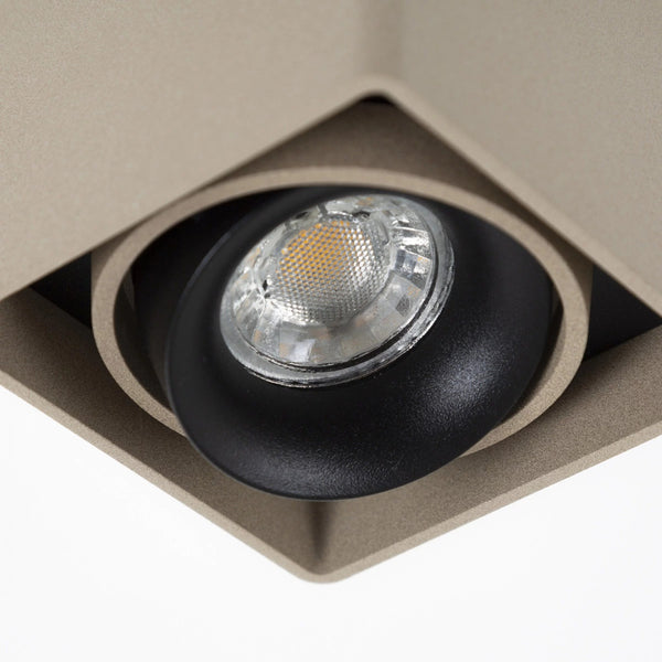 Bjorn 1 Champagne Opbouwspot – Verstelbare GU10 Plafond- en Wandspot van Aluminium