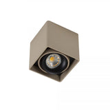 Bjorn 1 Champagne Opbouwspot – Verstelbare GU10 Plafond- en Wandspot van Aluminium