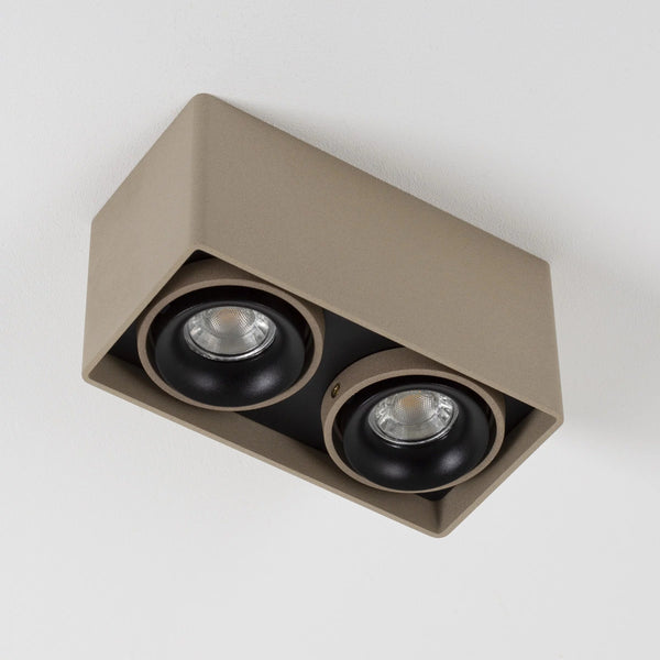 Bjorn 2 Champagne Opbouwspot – Draaibare 2-lichts GU10 Plafond- en Wandspot van Aluminium