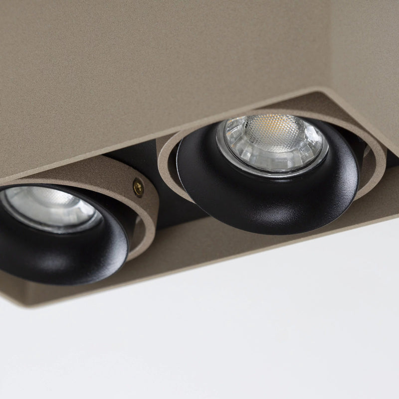 Bjorn 2 Champagne Opbouwspot – Draaibare 2-lichts GU10 Plafond- en Wandspot van Aluminium