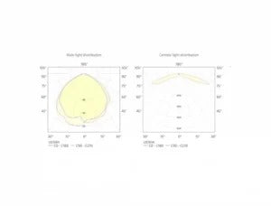 Dot LED Opbouw Paniekverlichting | IP65 | 140Lm | 5000K | Wit