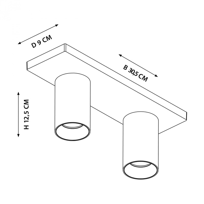 Mila 2 Zwart Opbouwspot / Goud – Verstelbare 2-Lichts Plafond- en Wandspot met GU10 LED