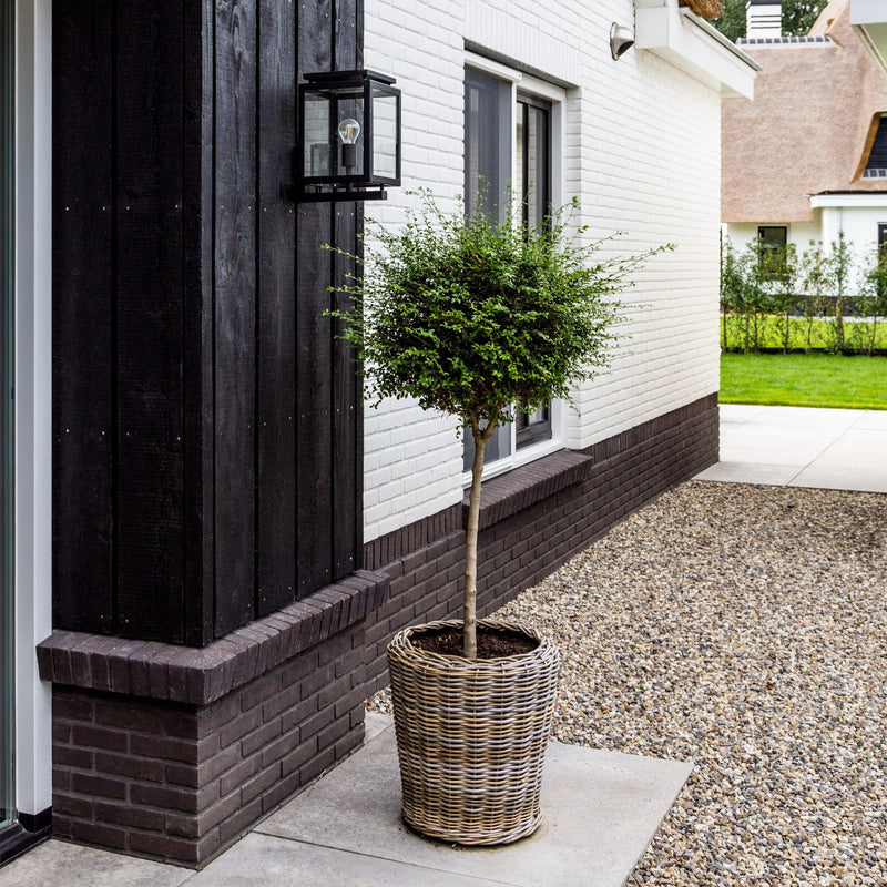 Muurlamp de Vecht + sensor